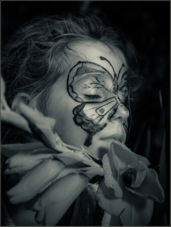 B&amp;amp;W butterfly dream