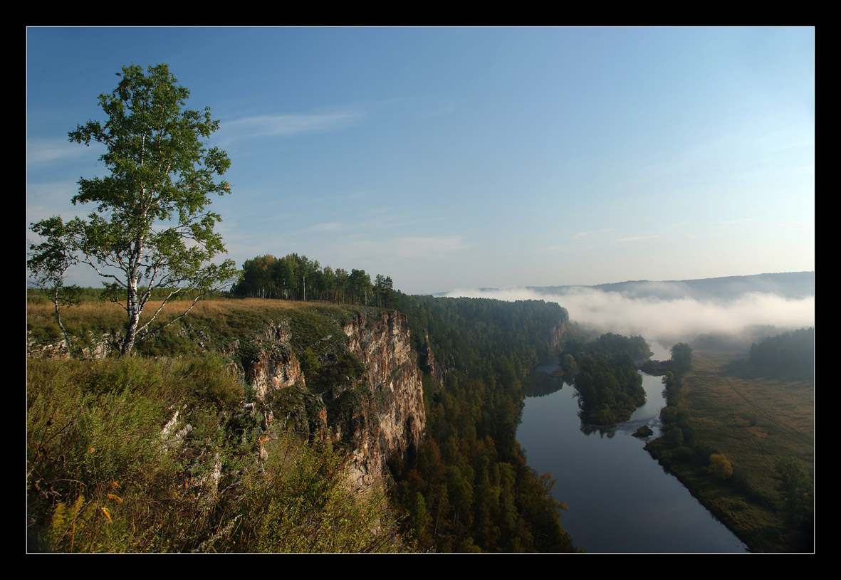 Одинокая береза 