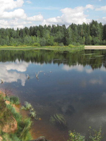 Река Оредеж