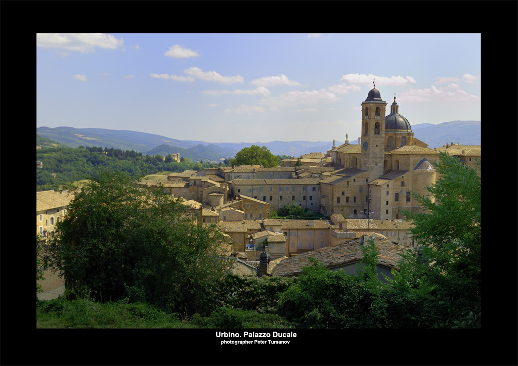 Urbino