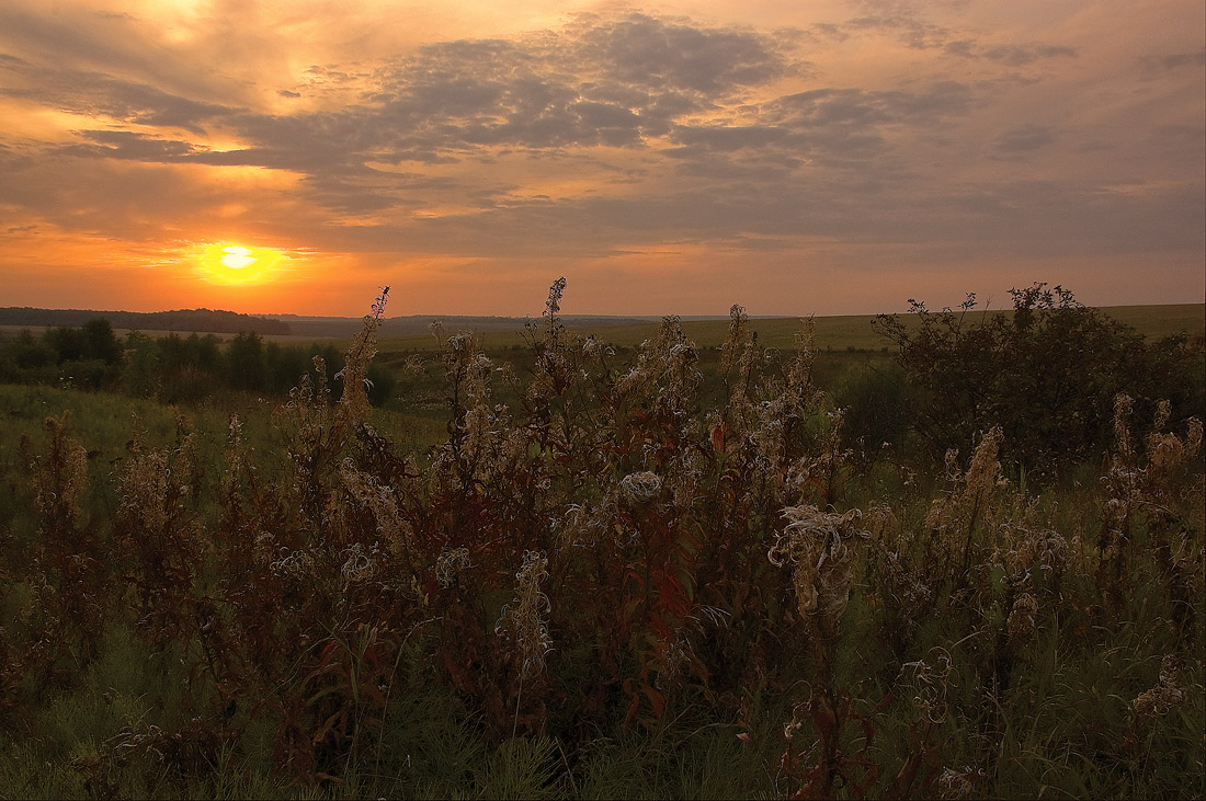 autumn, sunset