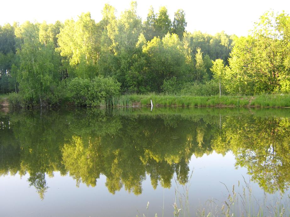 Нижегородская обл.3