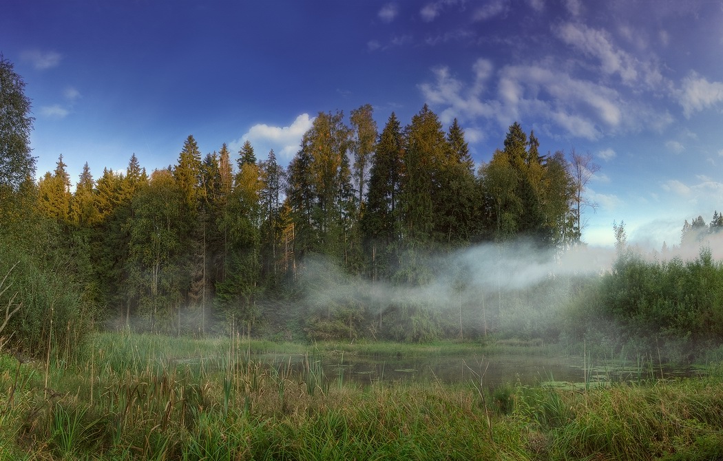 Рано холодает