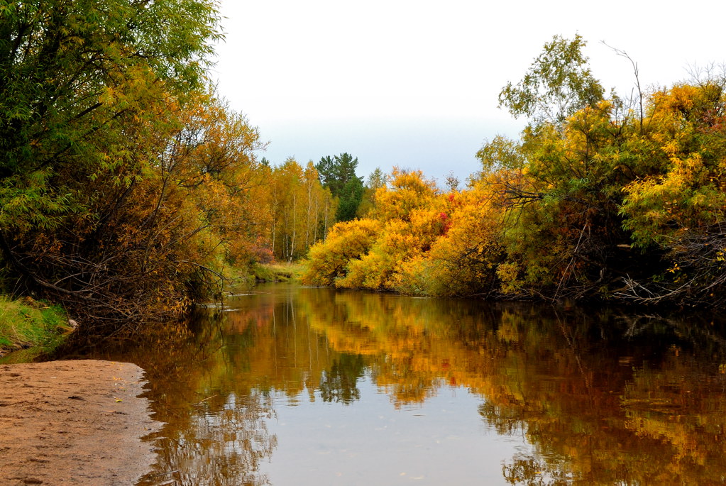 Осень в пригороде