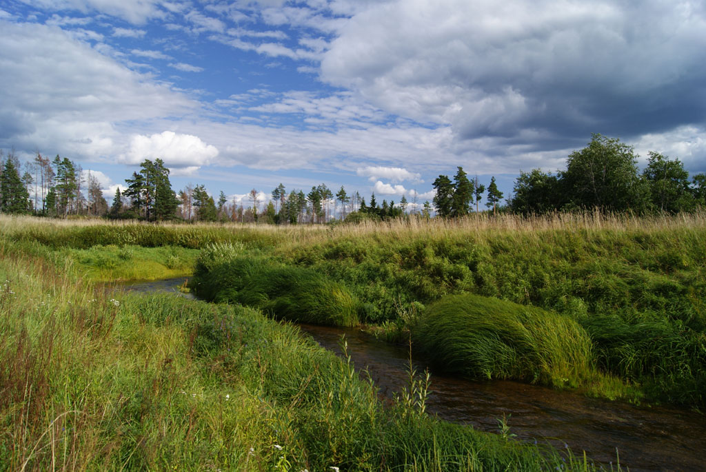 на реке Городне