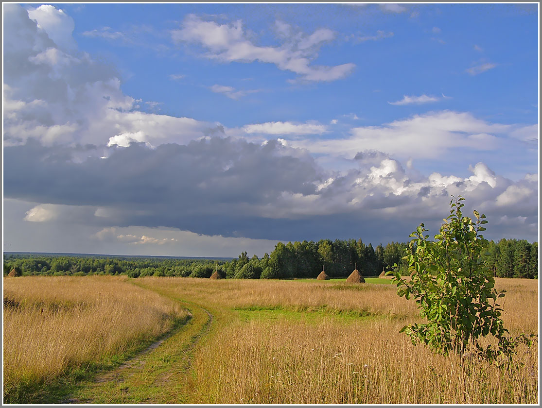 Дорога к реке