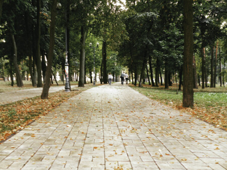 осенний парк