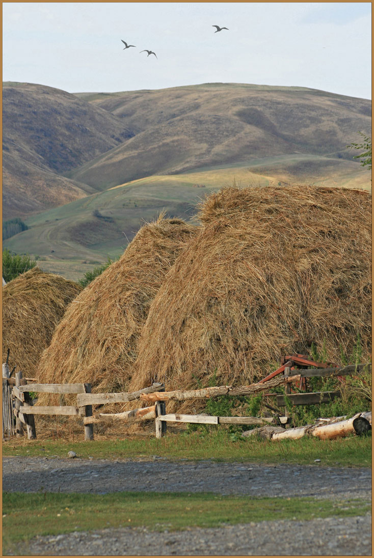 Осенний пейзаж