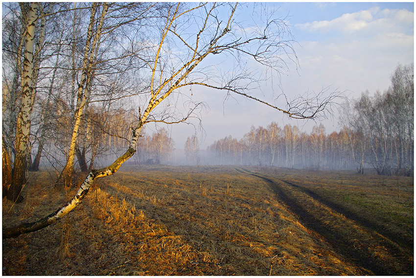 Утро прошедшей осени