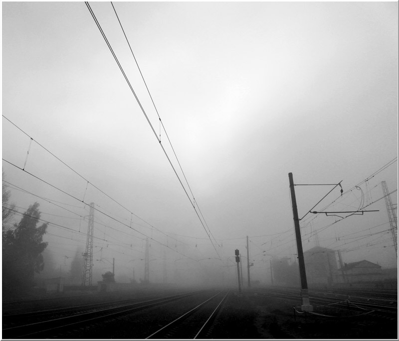 Foggy lines