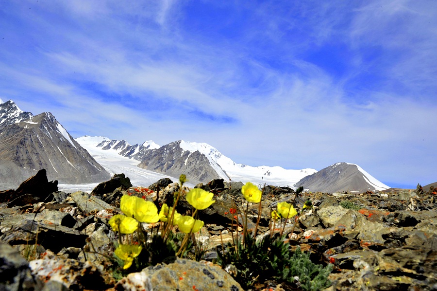 Tavan Bogd (Altay, Mongolia, 3110 m)