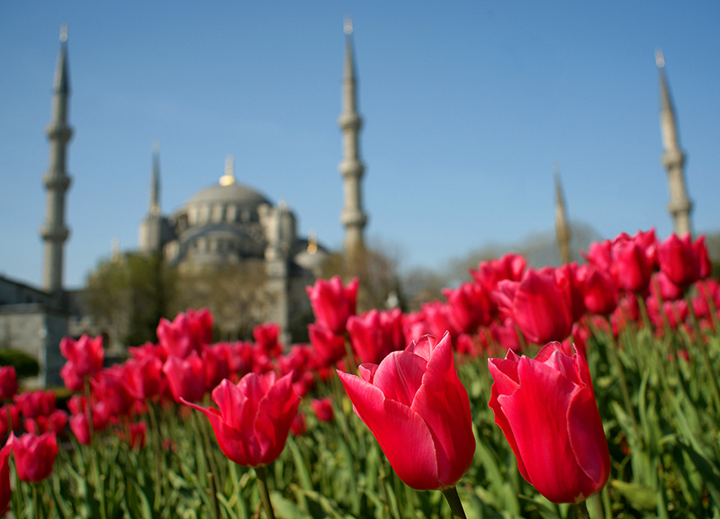 Spring in Istanbul