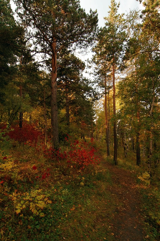 Краски осени