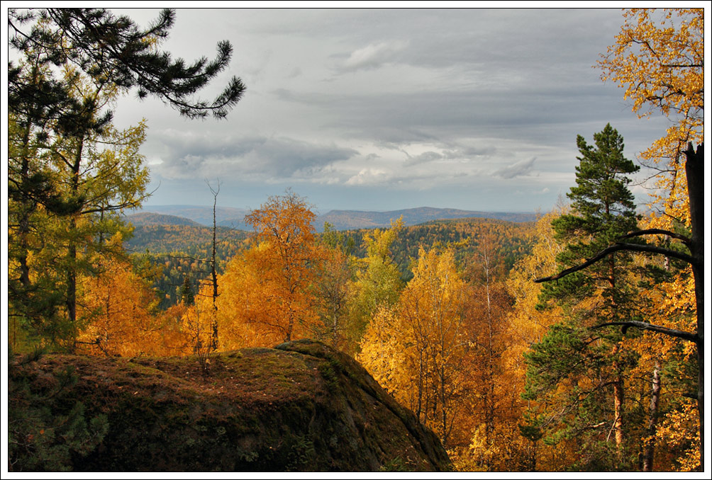 Золотая осень Сибири