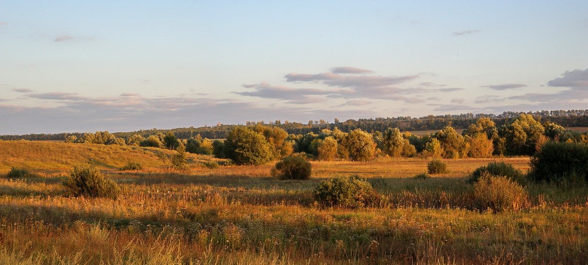 В лучах заходящего солнца.