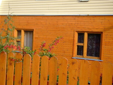 Windows 2
