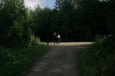 Сельская идилия