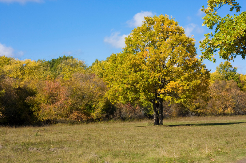 Autumn day