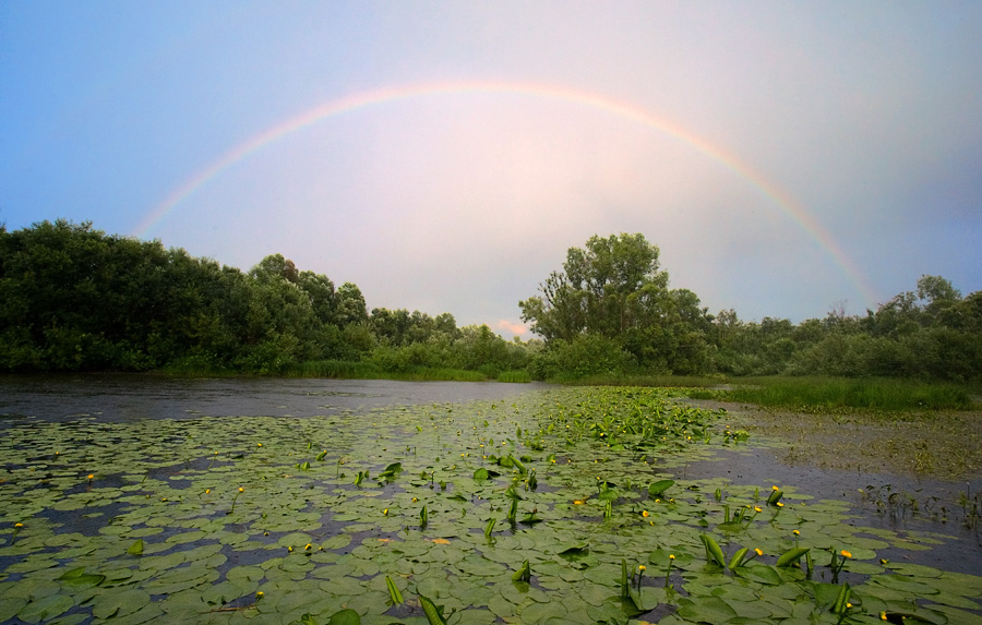 after rain