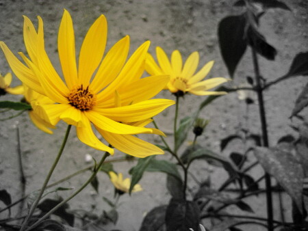 без названия