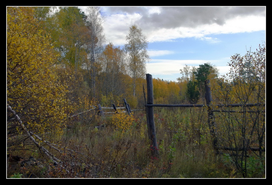 Осенняя грусть.