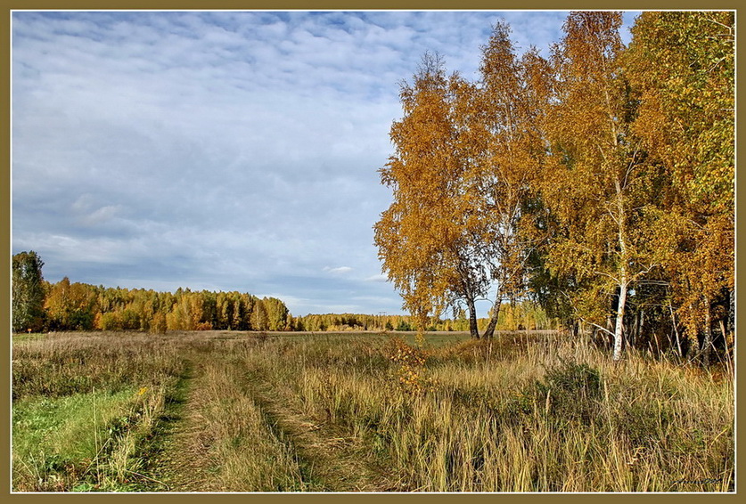 Дорога в осень