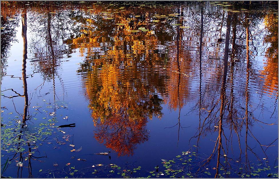 Осень в зеркале