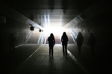 вперёд, к звёздам