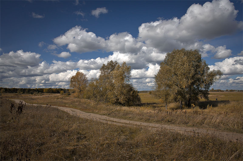 Осенний пейзаж