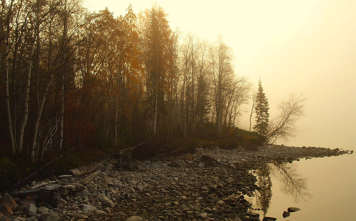 Осеннее утро