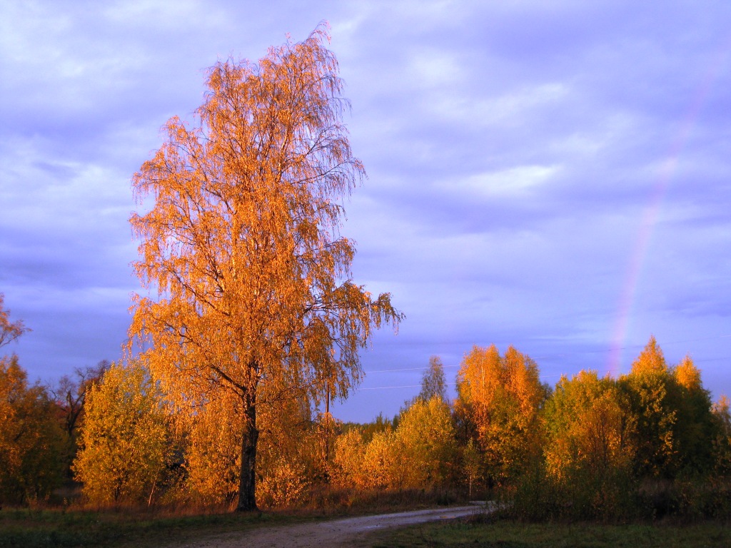 Осень Северного Поволжья