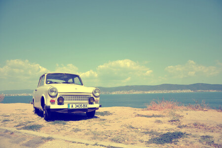 Старый товарищ