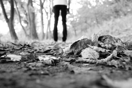 l&#039;automn autor de moi !