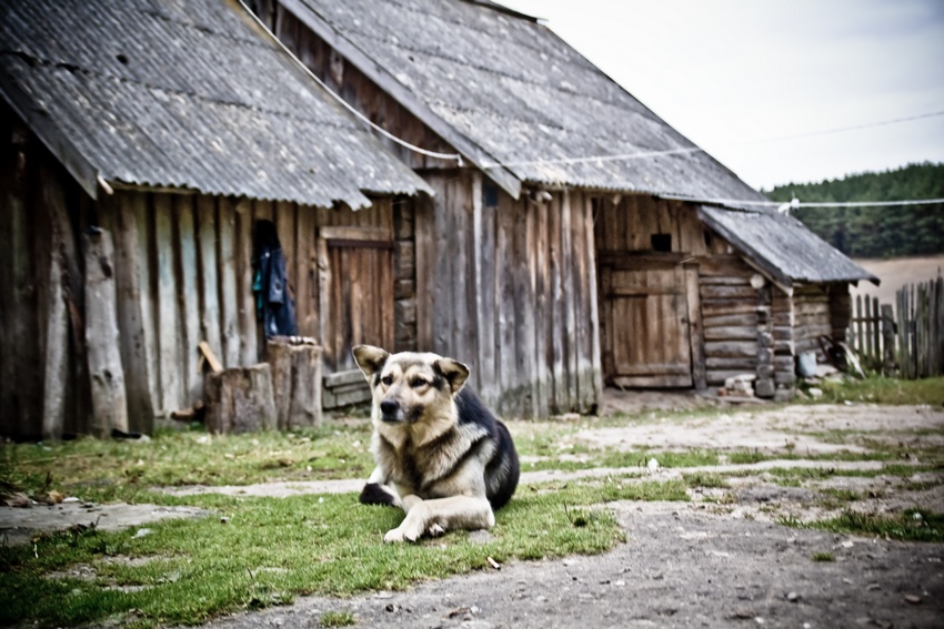 Это моя жизнь и другой мне не надо