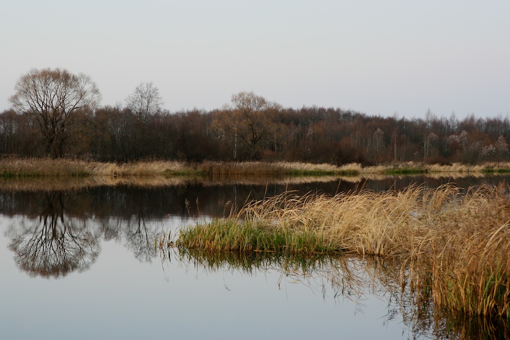 Золотая осень