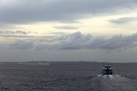 Возвращение домой