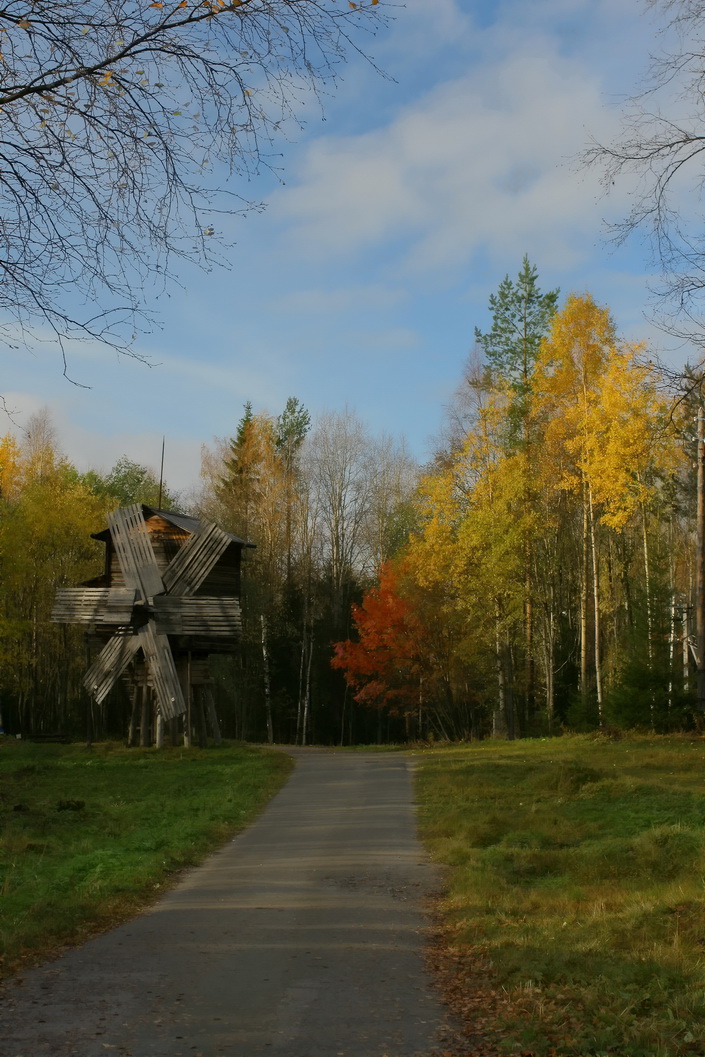 осенние цвета