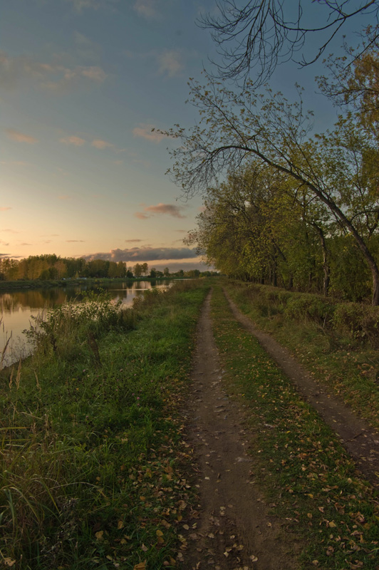 Дорога (в цвете)