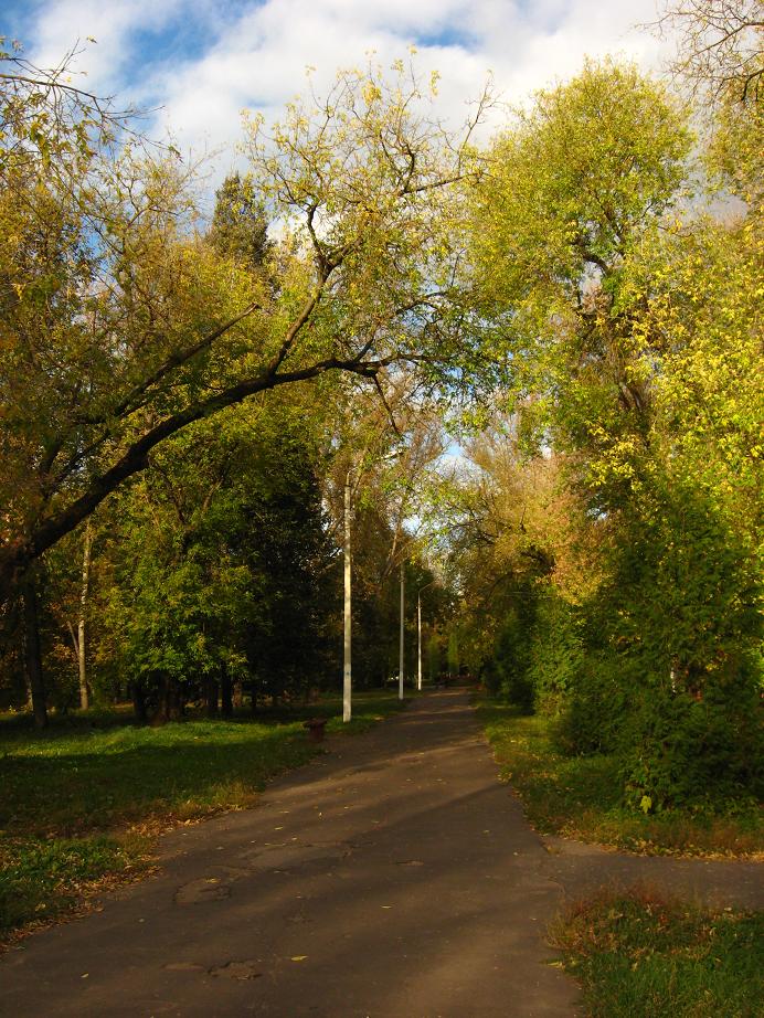 В осеннем парке