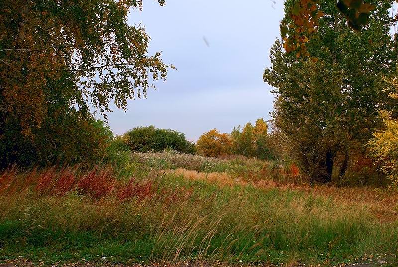 Осень в цветах