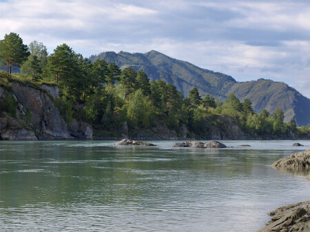 Катунь