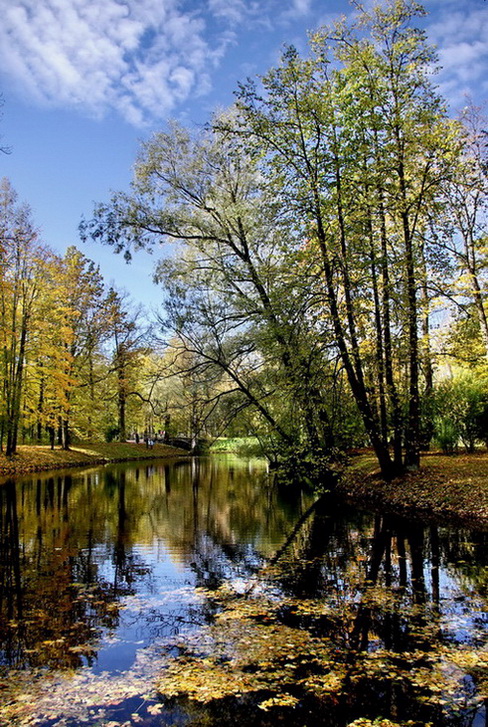 Александровский парк