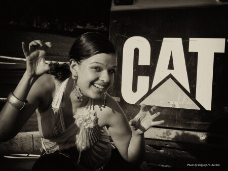 Cats