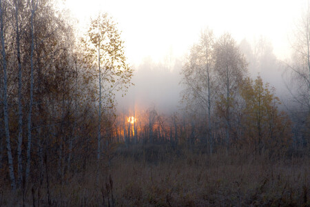 Холодный восход