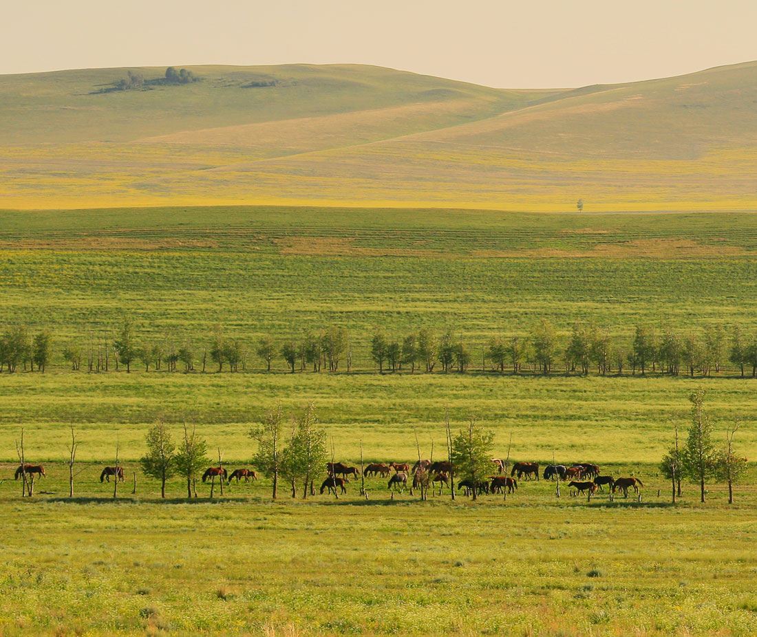 Жара