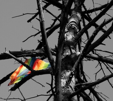 Последний полет