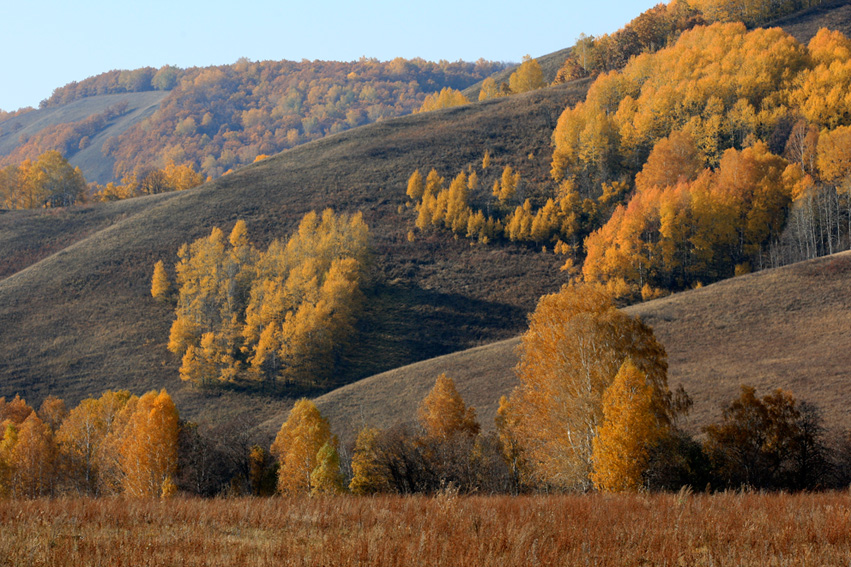 Осень.