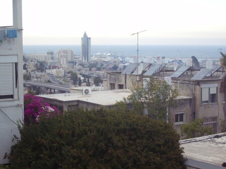 Вид из окна