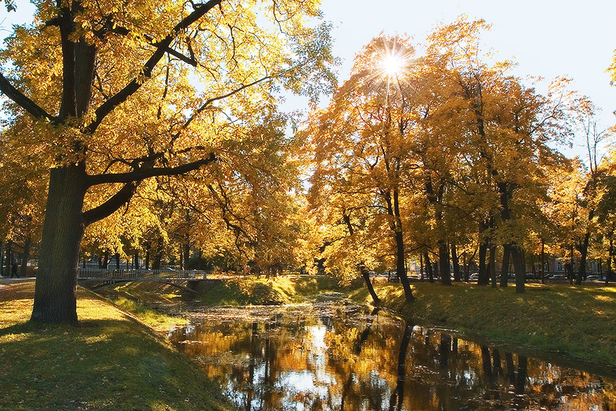 Осень в Таврическом