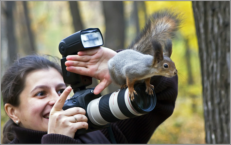 Любители фотографии